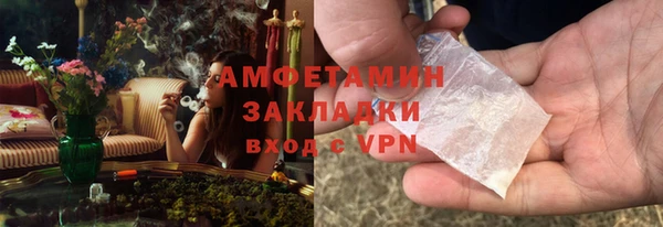 ГАЛЛЮЦИНОГЕННЫЕ ГРИБЫ Елабуга