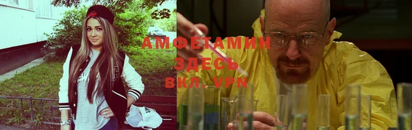 ГАЛЛЮЦИНОГЕННЫЕ ГРИБЫ Елабуга