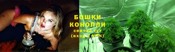 ГАЛЛЮЦИНОГЕННЫЕ ГРИБЫ Елабуга