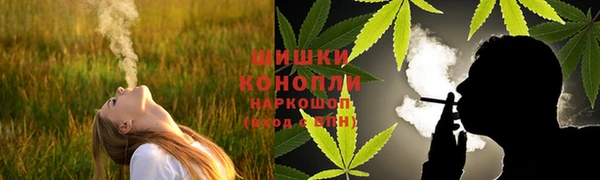 ГАЛЛЮЦИНОГЕННЫЕ ГРИБЫ Елабуга