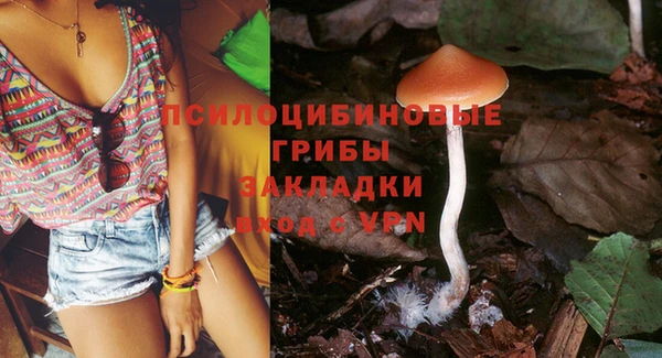 ГАЛЛЮЦИНОГЕННЫЕ ГРИБЫ Елабуга