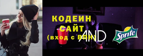 ГАЛЛЮЦИНОГЕННЫЕ ГРИБЫ Елабуга