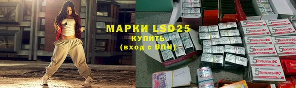 ГАЛЛЮЦИНОГЕННЫЕ ГРИБЫ Елабуга