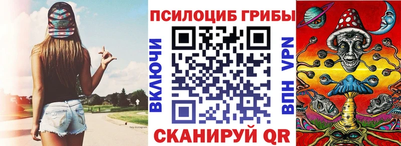 Купить где  Щёкино  Псилоцибиновые грибы мицелий 